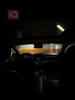 رينو تلسمان